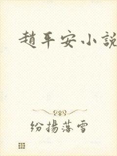 赵平安小说主角