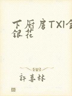 下厨房TXl金银花