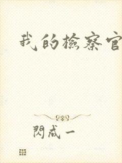 我的检察官先生封面