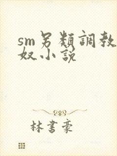 sm另类调教女奴小说