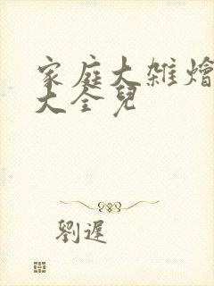 家庭大杂烩小说大全儿