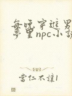 每晚穿进男神的梦里npc小说
