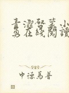 青涩启蒙小说张勇在线阅读全文