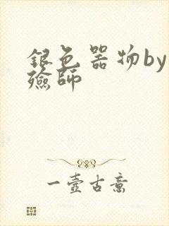 银色器物by入殓师封面