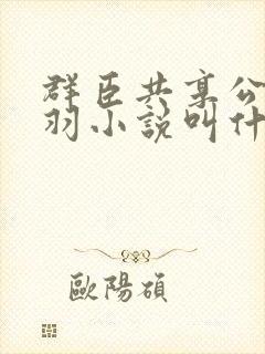 群臣共享公主银羽小说叫什么