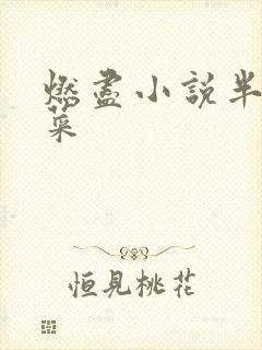 燃尽小说半截白菜