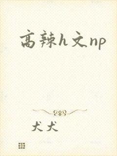 高辣h文np