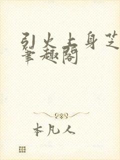 引火上身芝麻糖笔趣阁封面