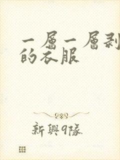 一层一层剥掉你的衣服