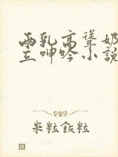 两乳高耸奶头挺立呻吟小说