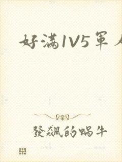 好满1V5军人