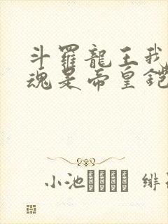 斗罗龙王我的武魂是帝皇铠甲笔趣阁