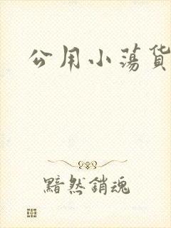 公用小荡货芊芊封面