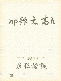 np辣文高h