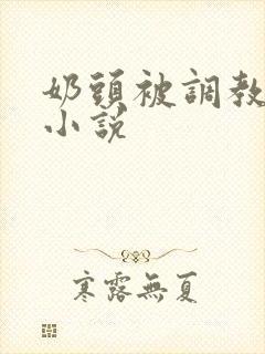 奶头被调教大的小说封面