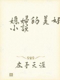 媳妇的美好时代小说