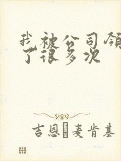 我被公司领导C了很多次