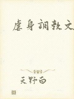 虐身调教文封面