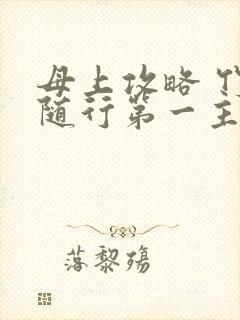 母上攻略 竹影随行第一主板