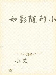 如影随形小说