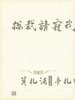 总裁请宠我封面