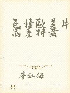 色情欧美片午夜国产特黄封面