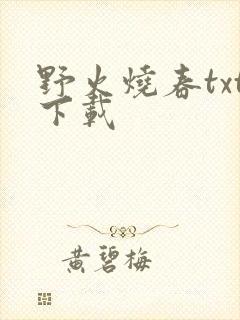 野火烧春txt下载