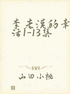 李老汉的幸福生活1-13集
