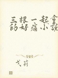 三根一起会坏掉的好痛小说