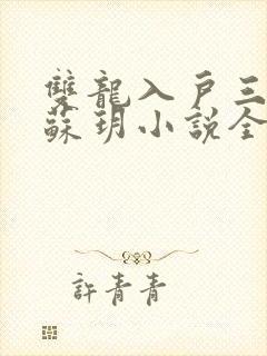 双龙入户三人行苏玥小说全文阅读封面