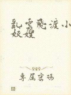 乱云飞渡小说之姣嫂