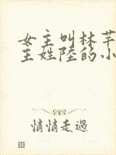 女主叫林芊芊男主姓陆的小说