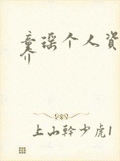 童瑶个人资料简介封面