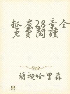 抓灰28章全部免费阅读封面