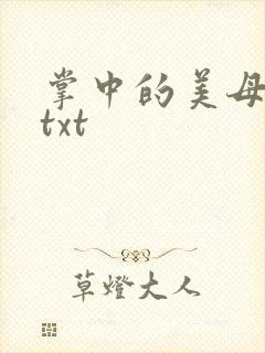 掌中的美母版主txt
