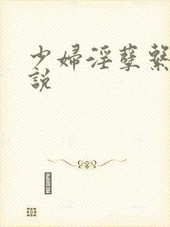 少妇淫孽系列小说