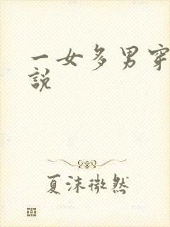 一女多男穿越小说