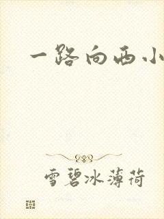 一路向西小说