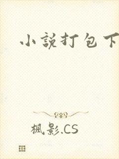 小说打包下载封面