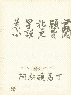 叶星北顾君逐的小说免费阅读