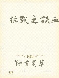 抗战之铁血佣兵