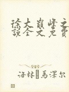 徐大巅峰之路小说全文免费阅读