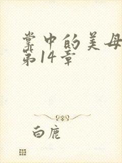 掌中的美母版主第14章