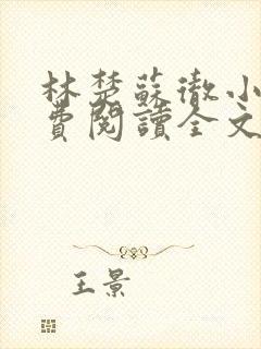 林楚苏彻小说免费阅读全文最新章节封面