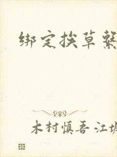 绑定挨草系统后封面