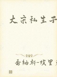 大宋私生子封面