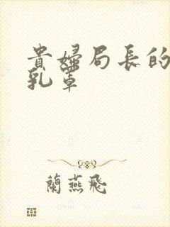 贵妇局长的蕾丝乳罩