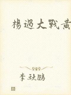 杨过大战黄蓉封面