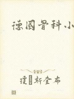 德国骨科小说封面