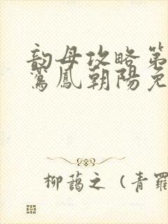 韵母攻略第二部鸾凤朝阳免费阅读